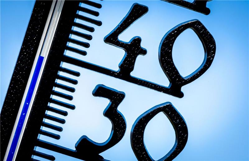 RKI: Klimawandel größte Herausforderung für Menschheit Die globale Erderwärmung kann in Deutschland künftig das Risiko für Infektionskrankheiten erhöhen.