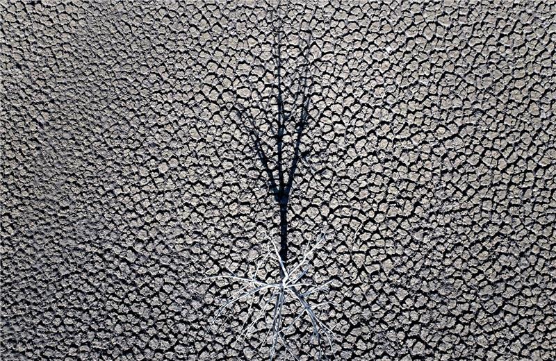 Erderwärmung erstmals zwölf Monate über 1,5 Grad Die globalen Temperaturen steigen weiter an.