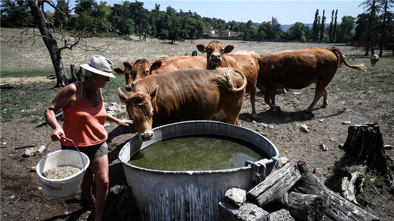 Die große Trockenheit macht in Frankreich insbesondere den Landwirten zu schaffen.