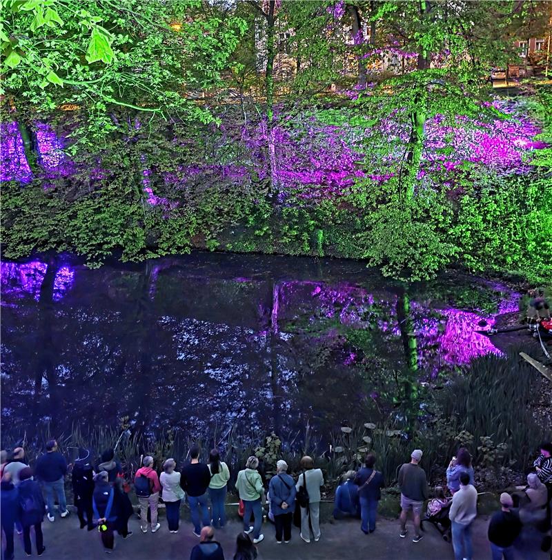 Gruppe von Menschen sitzt am Ufer eines Teichs mit grüner und violetter Beleuchtung im Hintergrund.