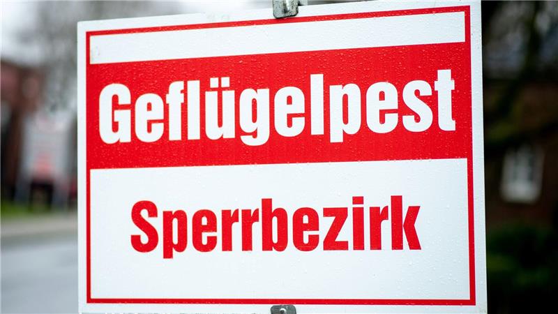Die in Niedersachsen herrschende Geflügelpest stellt die Landwirte auf eine harte Probe, vor allem auch finanziell. (Archivfoto)