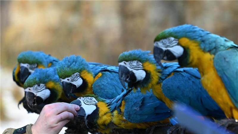 Die jährliche Vermessung und Zählung dient unter anderem dem Artenschutz.