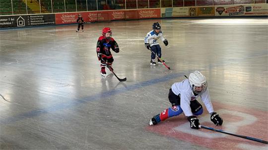Das Foto zeigt vier Kinder, die Schlittschuhlaufen.