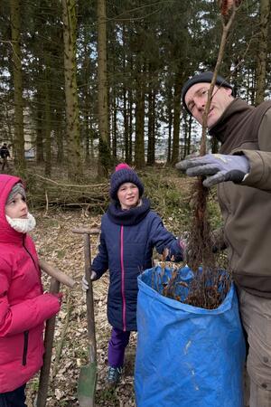 Diese Kinder wollen den Oberharzer Wald vor dem Klimawandel retten Die jungen Buchen sind zwei Jahre alt und noch recht klein.