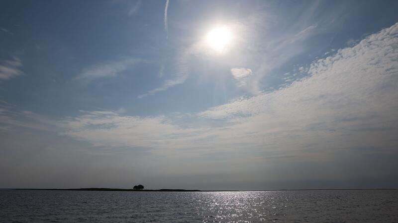 Betreten verboten: Auf einigen Inseln leben nur Vogelwarte Die kleine Hallig Norderoog ist Brut- und Rastplatz für Tausende, auch bedrohte, Vogelarten.