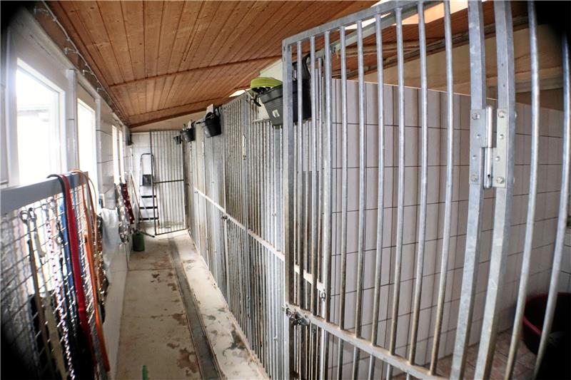 Die kleine Hundehalle des Tierheims Eckertal mit ihren zu kleinen Boxen soll abgerissen und an der gleichen Stelle ein neues, moderneres Gebäude errichtet werden, das den aktuellen Vorschriften entspricht. Foto: Privat