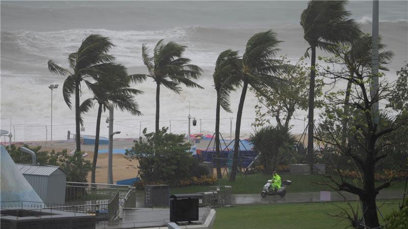 Super-Taifun „Ragasa“: Taiwan und Philippinen melden Tote Die kräftigen Winde ließen örtlich Bäume umknicken.