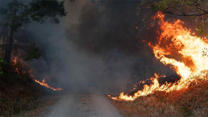 Die lange Trockenheit erhöht das Waldbrandrisiko.