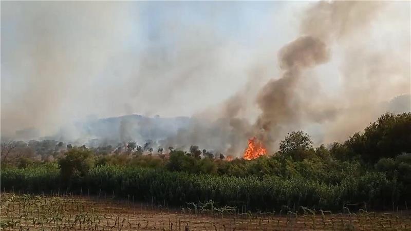 Keine Entwarnung bei Waldbränden - Tote in der Türkei Die meisten Brände sind auf die Mittelmeerinsel Sardinien und Sizilien.