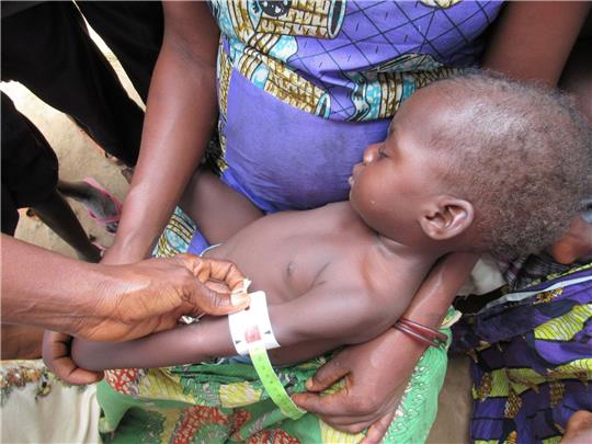 Die meisten Hungernden lebten im vergangenen Jahr in der Demokratischen Republik Kongo (25,8 Millionen), gefolgt von Nigeria, dem Sudan und Afghanistan.