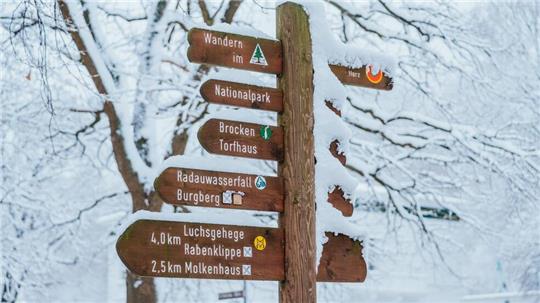 Die monatlichen Wanderungen der KTW führen in unterschiedliche Richtungen rund um Bad Harzburg.