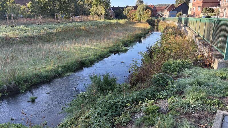 Bach mit Uferbewuchs und angrenzendem Zaun in einer ländlichen Siedlung mit Häusern im Hintergrund