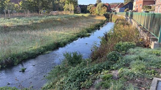 Bach mit Uferbewuchs und angrenzendem Zaun in einer ländlichen Siedlung mit Häusern im Hintergrund