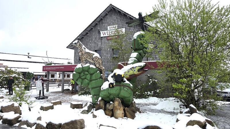 Das Nationalparkbesucherzentrum Torfhaus im Schnee.