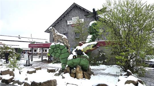 Das Nationalparkbesucherzentrum Torfhaus im Schnee.