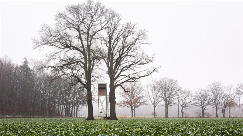 Landesjägerschaft hält im Streit um Jagdgesetz an Demo fest Die niedersächsische Jägerschaft will das bestehende Jagdrecht beibehalten. (Symbolbild)