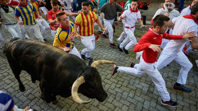 Die schlimmsten Verletzungen gibt es in der Regel durch die spitzen und langen Hörner der Bullen. Das kommt jedoch eher selten vor. Die meisten Läufer ziehen sich Prellungen zu, wenn sie bei der wilden Jagd übereinander fallen.