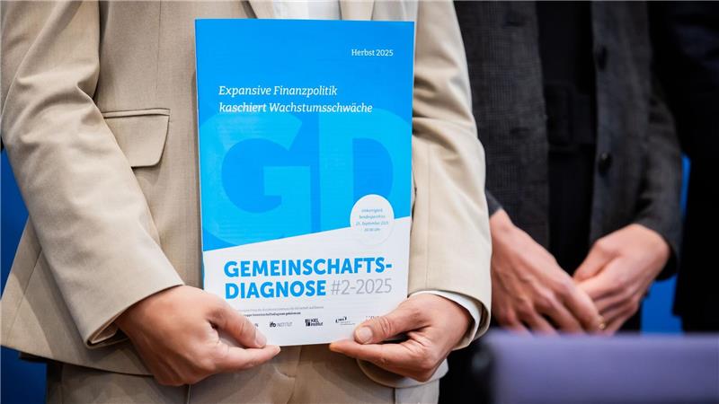 Institute sehen Wirtschaft auf „wackeligen Beinen“ Die sogenannte Gemeinschaftsdiagnose wird von führenden Wirtschaftsinstituten erstellt.