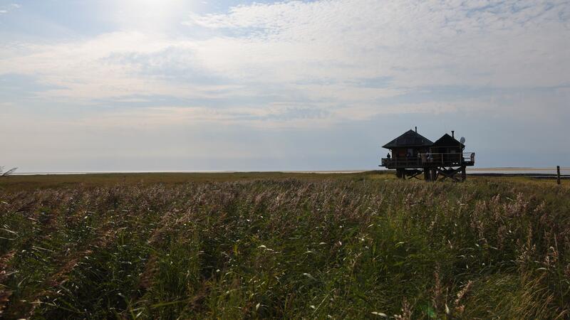 Die sogenannten Vogelinseln und -halligen in Nord- und Ostsee sind Natur- und Vogelschutzgebiete, die wenn überhaupt nur mit Ausnahmegenehmigung betreten werden dürfen.