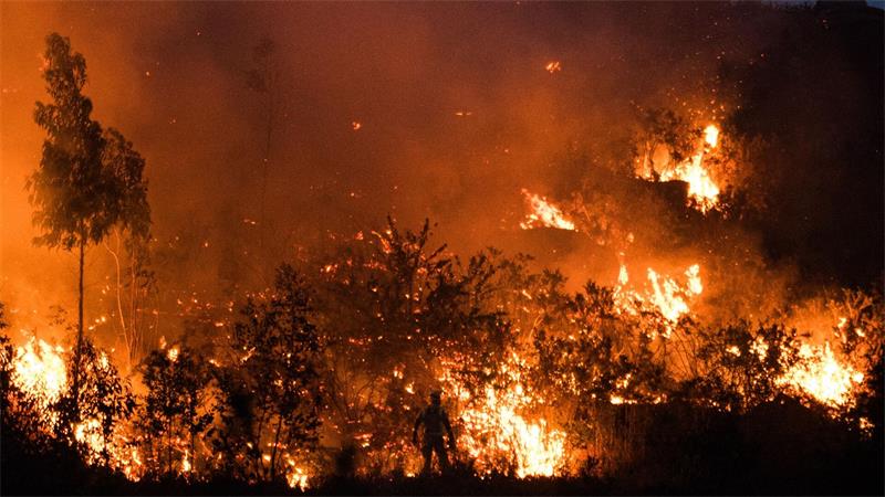 Spanien im Finsternis-Fieber: Balkonplätze für 700 Euro Die spanischen Behörden sind wegen der Waldbrandgefahr durch zehntausende Touristen in ländlichen Gebieten während der Sonnenfinsternis am kommenden Mittwoch in höchster Alarmbereitschaft.