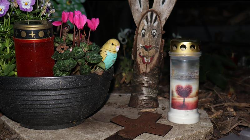 Haustier im eigenen Garten begraben: Was ist erlaubt? Ein Tiergrab, geschmückt mit Kerzen und Blumen