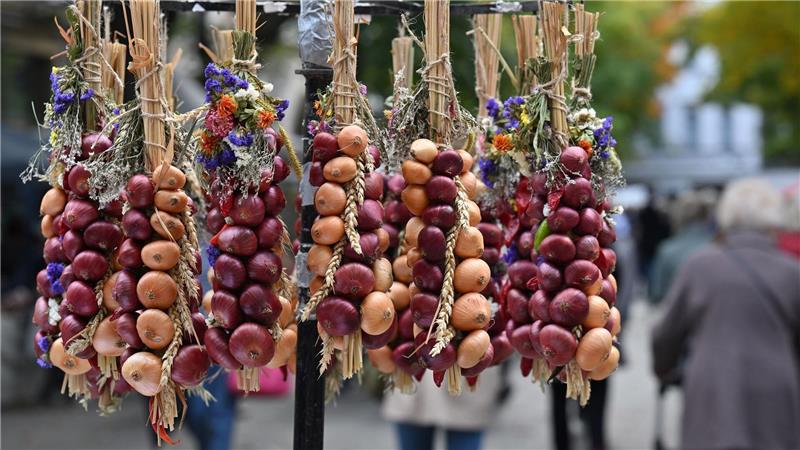 Die traditionellen Zwiebelzöpfe hängen zum Verkauf auf dem Zwiebelmarkt in Weimar.