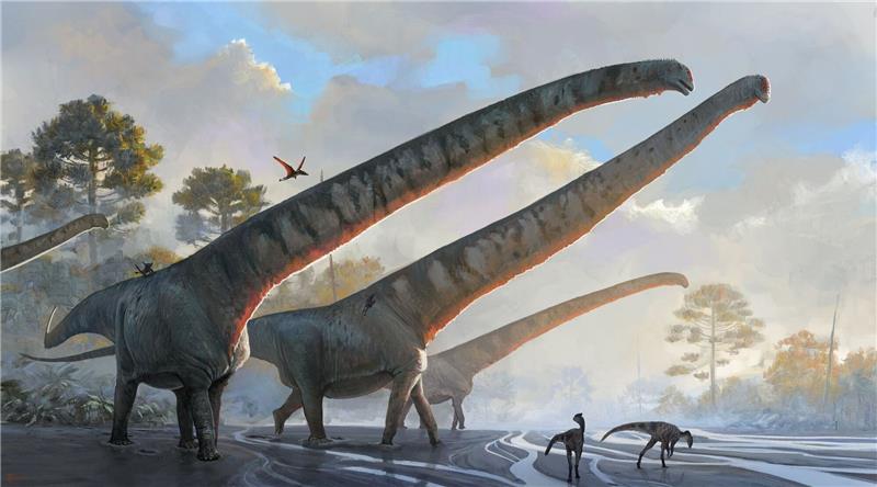 Forschende finden Dinosaurier mit bislang längstem Hals Die undatierte Illustration des Natural History Museums zeigt «Mamenchisaurus sinocanadorums».