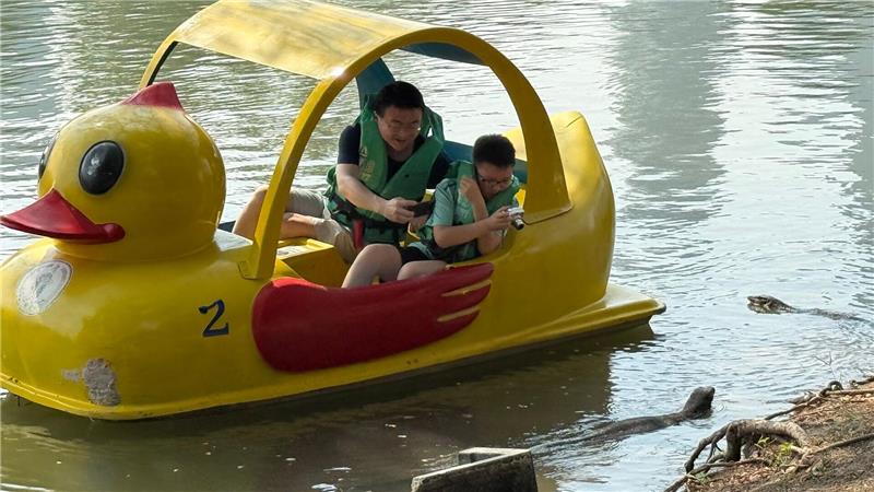 Die urzeitlichen Warane sind ein beliebtes Fotomotiv.