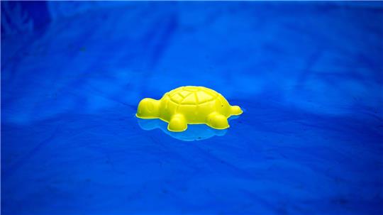 Die vermissten Kinder wurden tot in einem privaten Pool gefunden. (Symbolbild)