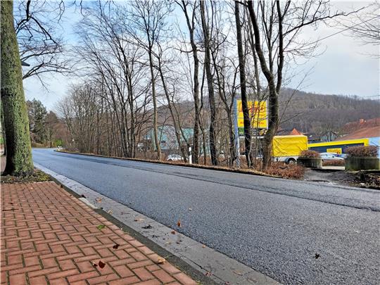 Die vom Ausschuss abgelehnte Zufahrt zum Netto an der Ilsenburger Straße wäre im Grünstreifen (schraffierter Bereich auf der Karte) errichtet worden. Dort steht bereits eine Werbetafel, die dort nicht hingehört.  Foto: Exner; Grafik: OpenStreetMap/Exner