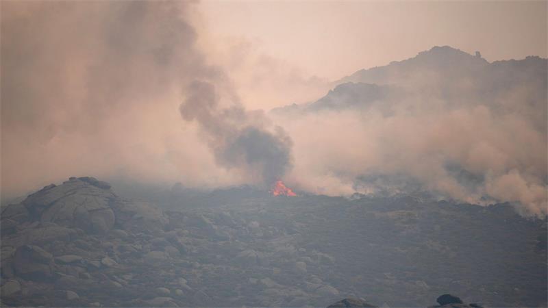 Die wesentliche Gesundheitsgefährdung bei einem Waldbrand entsteht durch die Feinstaubbelastung, sagt das Umweltbundesamt.