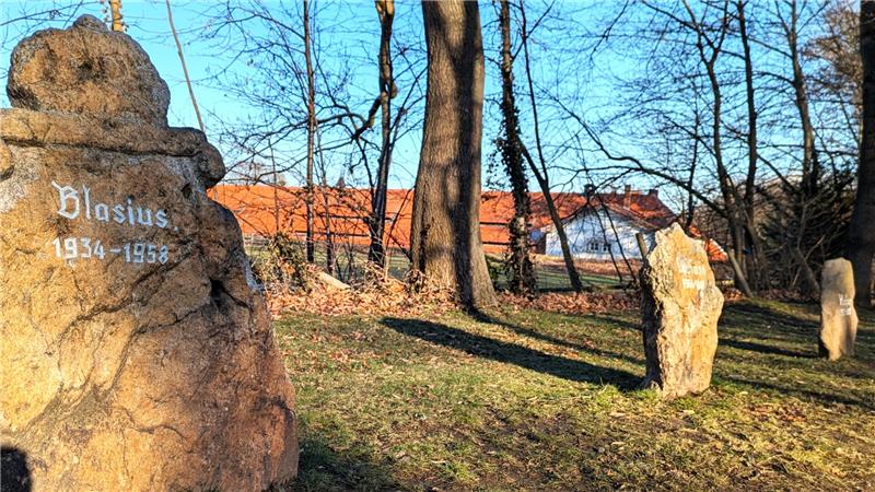 Dieser Hengst bringt Harzburg den einzigen Derbysieg in Blau-Gelb Die zwölf Gedenksteine im Bündheimer Schlosspark sind jetzt frei von Gestrüpp und haben leserlichere Inschriften erhalten.