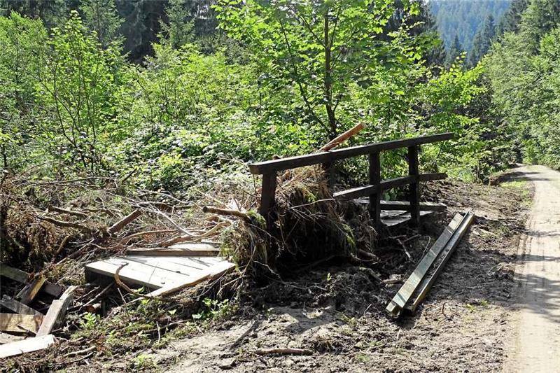 Diese Reste sind von der Wanderwegbrücke im Grumbachtal übriggeblieben. Am Samstag will der Harzklub-Zweigverein sie mit Freiwilligen wieder aufbauen.  Foto: Weiss