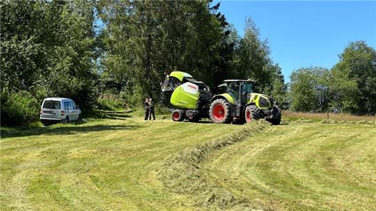 Diese Wiese am Schmiedeberg Braunlage ist in den vergangenen Tagen bereits gemäht worden. Das getrocknete gemähte Gras wird dann zu riesigen runden Heuballen zusammengepresst.