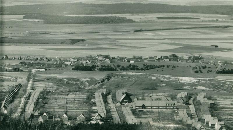 Dieses Bild zeigt den Ort Göttingerode aus südlicher Richtung in den frühen 1950er Jahren, kurz nach dem Bergsturz. Im Hintergrund sind der Langenberg und die betroffene Fläche zu sehen, links die noch heute existierende Kreisstraße nach Harlingerode.