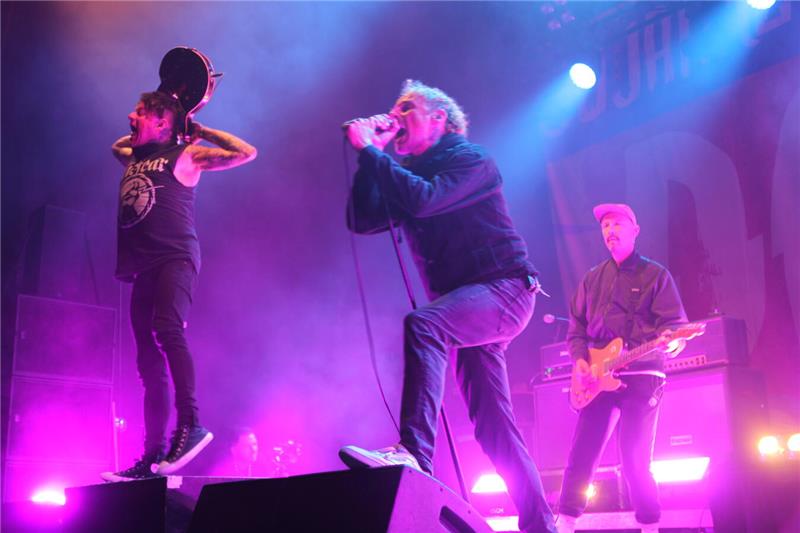 Donots
