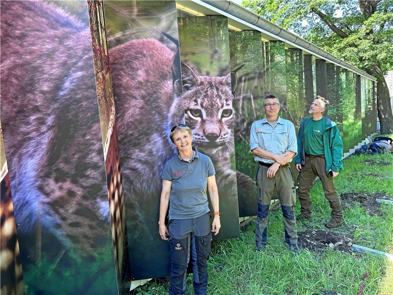Dr. Bettina König, Steffen Küppers von den Landesforsten und Frank Steingaß vom Nationalpark vor der neuen Außenwand an der B 4. Je nach Blickrichtung sind unterschiedliche Motive zu sehen. Und abends mit Beleuchtung. Foto: Schlegel