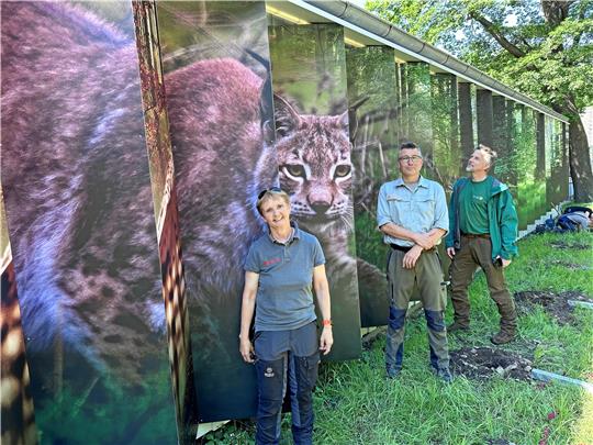 Dr. Bettina König, Steffen Küppers von den Landesforsten und Frank Steingaß vom Nationalpark vor der neuen Außenwand an der B 4. Je nach Blickrichtung sind unterschiedliche Motive zu sehen. Und abends mit Beleuchtung. Foto: Schlegel