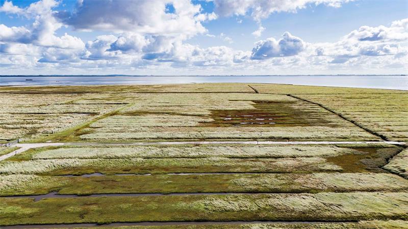 Wachen Nationalpark-Ranger bald auch auf der Nordsee? Drei Wattenmeer-Nationalparks gibt es in Deutschland: In Niedersachsen, Hamburg und Schleswig-Holstein.