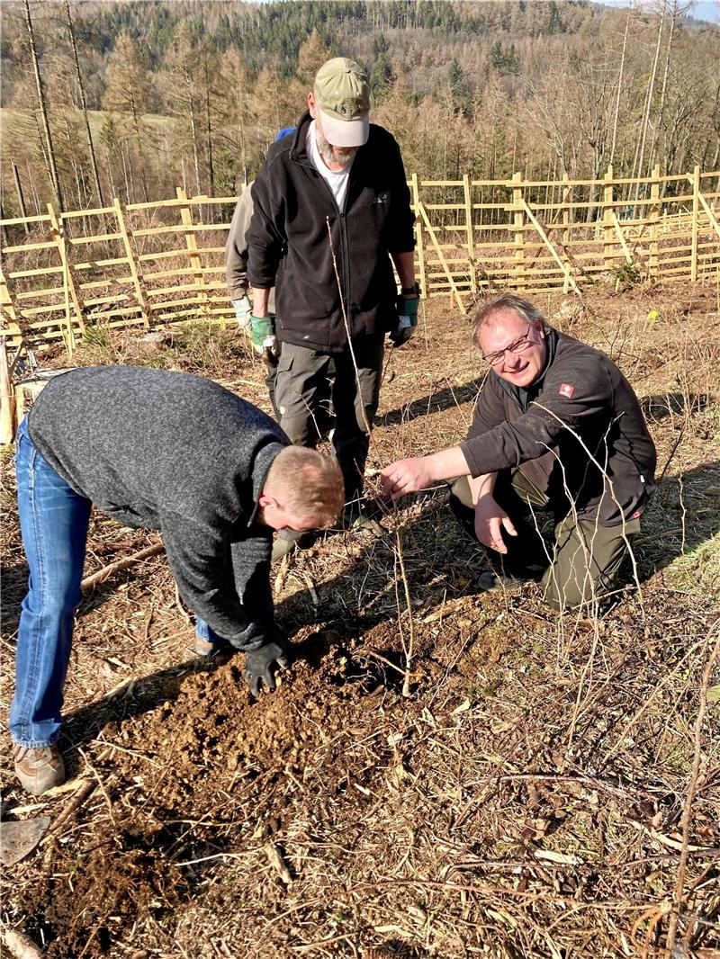 Druiden bei der Arbeit: Frank Josten (von links), Dr. Andreas Lange und Holger Köhler pflanzen einen Hain für die Harz-Loge. Foto: Privat
