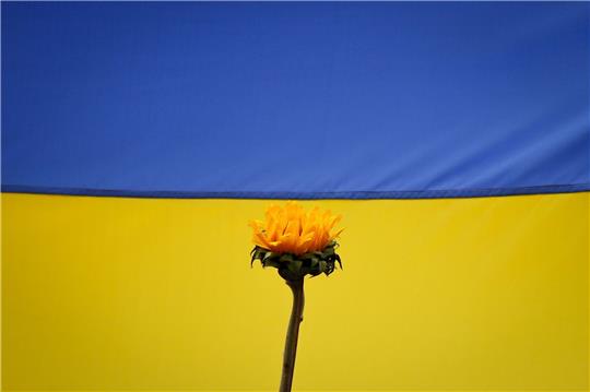 Durch Sanktionen solidarisieren sich die USA weiter mit der Ukraine. (Symbolbild)