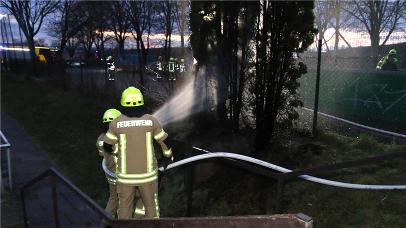 Feuerwehreinsatz in Othfresen: Bäume mutmaßlich in Brand gesteckt Durch das schnelle Eintreffen der Feuerwehr kann Schlimmeres verhindert werden.