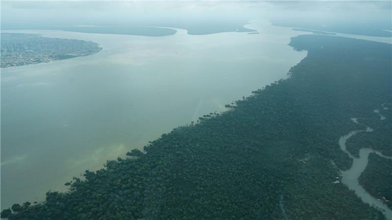 Durch den an die Millionenstadt Belém grenzenden Wald fließt der Fluss Guama.