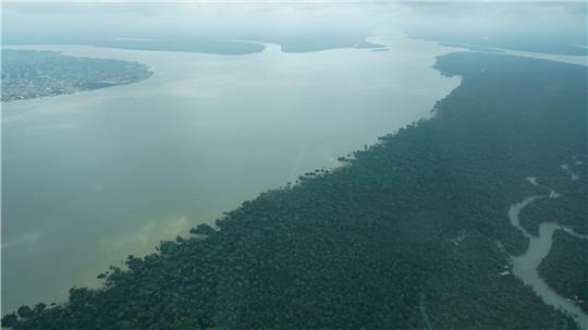 Durch den an die Millionenstadt Belém grenzenden Wald fließt der Fluss Guama.