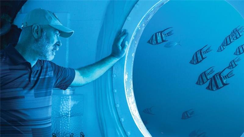 120 Tage unter Wasser - Deutscher schafft Weltrekord Durch die Bullaugenfenster beobachtete Koch das Meer.