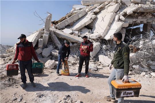 Durch die verheerenden Beben am 6. Februar in der Türkei und Nordsyrien wurden auch etliche Tiere verschüttet, verletzt und traumatisiert. In der Erdbebenregion haben sich seither provisorische Auffang- und Versorgungsstrukturen für die Tiere gebildet.