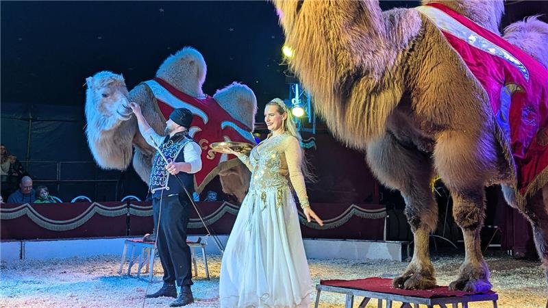 Dustin und Josie Urban stehen mit sibirischen Kamelen in der Manege und lächeln ins Publikum.