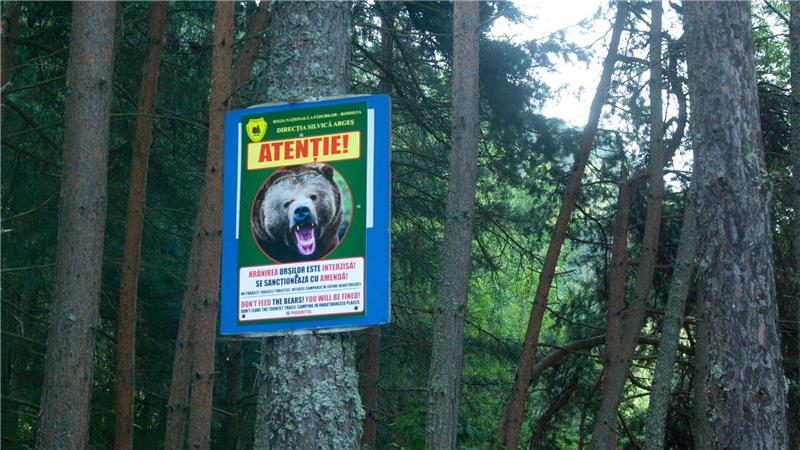 Karpaten: Bären rücken Menschen auf den Pelz Dutzende Schilder am Rand der Bergstraße Transfagarasan in den rumänischen Karpaten drohen strenge Strafen an für Menschen, die Bären füttern.