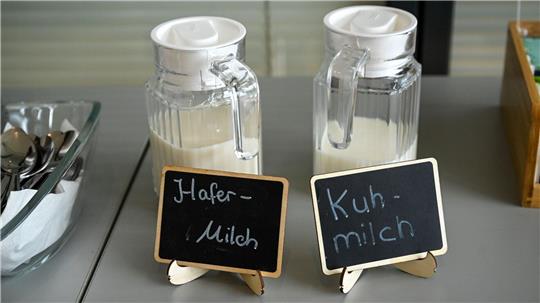 Echte „Milch“ gibt es laut Vorschrift nur von Tieren - aber im Alltag werden auch Pflanzendrinks so genannt. 