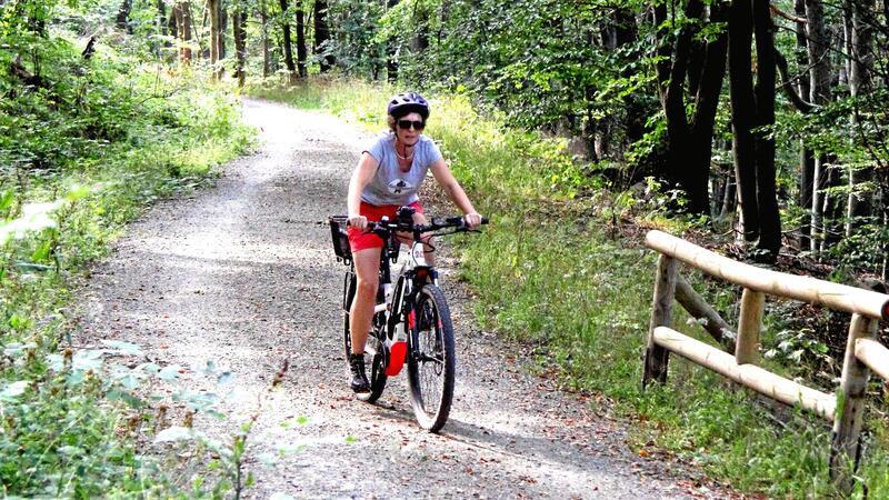 Egal ob wie hier bei der Tour durch den Wald oder auf dem weg zur Arbeit: Jeder geradelte Kilometer zählt.